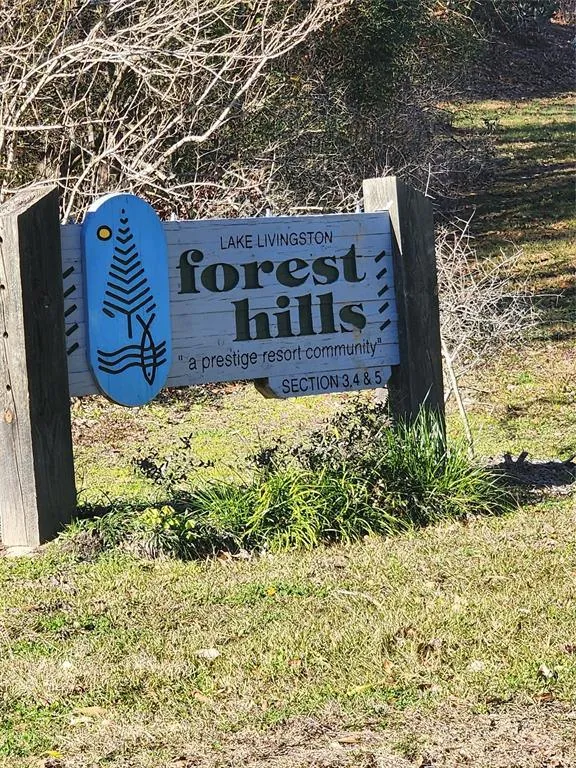 Lot 425 Echo Hills Ln, Livingston, TX 77351 for Sale
