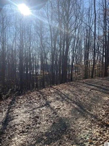 Plot For Sale In Cadiz, Kentucky