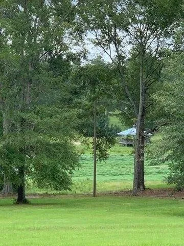 Plot For Sale In Montrose, Mississippi