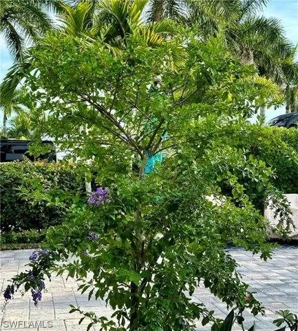 Plot For Sale In Naples, Florida