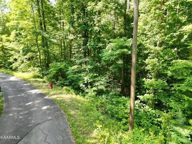 Plot For Sale In Madisonville, Tennessee