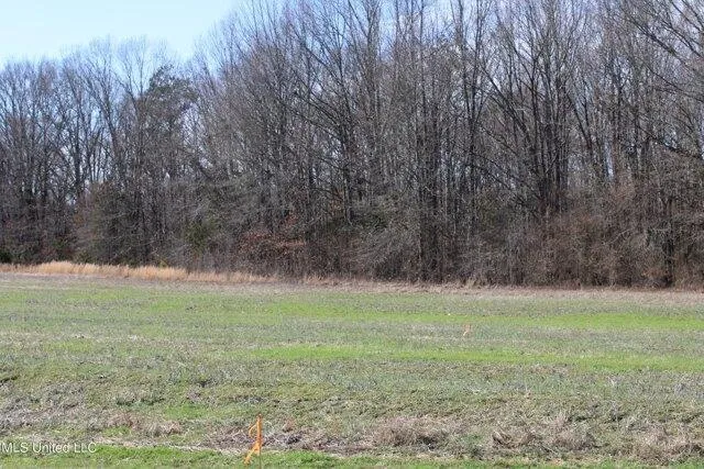 Plot For Sale In Ashland, Mississippi