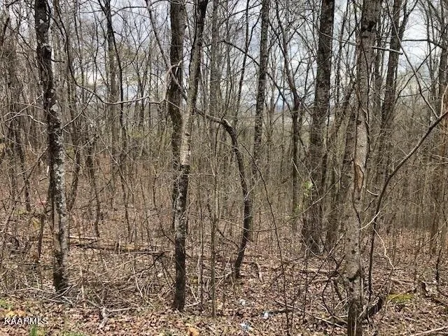 Plot For Sale In Spring City, Tennessee
