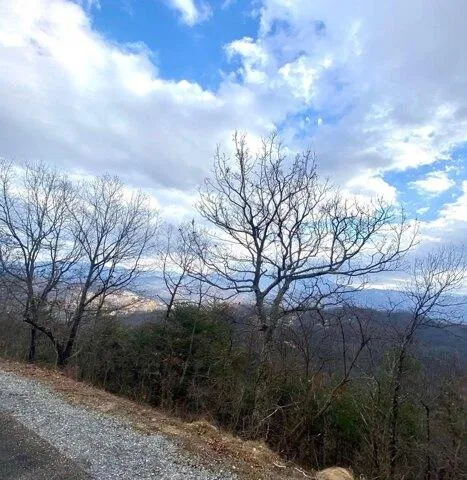 Plot For Sale In Sevierville, Tennessee