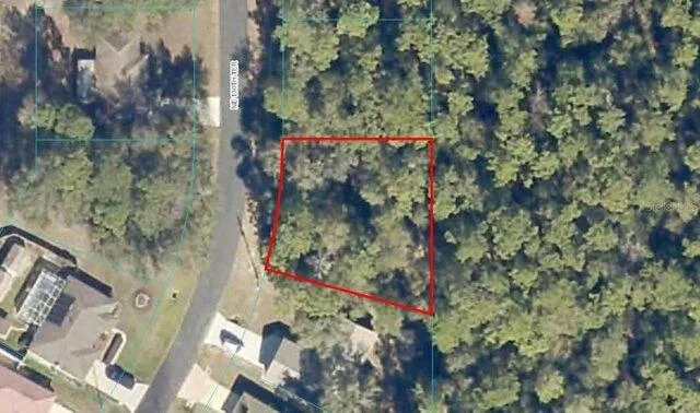Plot For Sale In Silver Springs, Florida