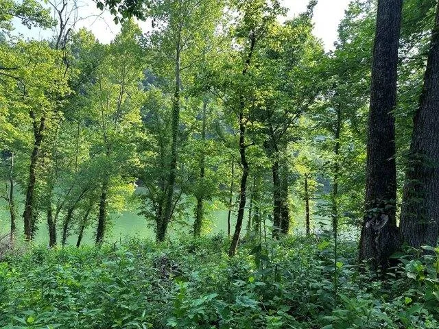Plot For Sale In Burkesville, Kentucky