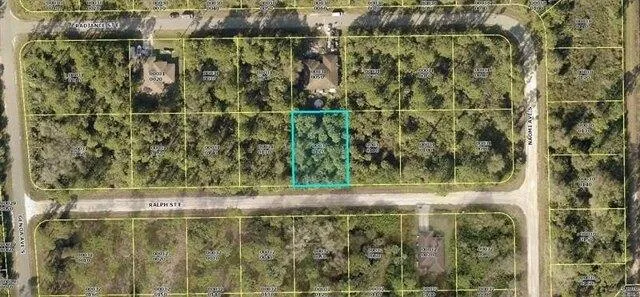 Plot For Sale In Lehigh Acres, Florida
