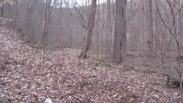 Plot For Sale In Sneedville, Tennessee