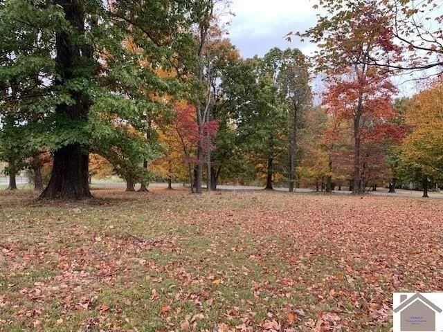 Plot For Sale In Marion, Kentucky