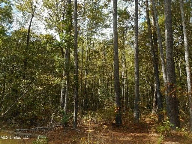 Plot For Sale In Brandon, Mississippi