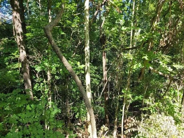 Plot For Sale In Graham, Kentucky