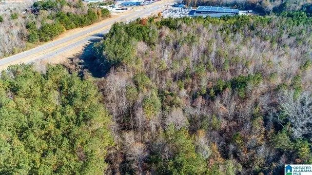 Plot For Sale In Alexander City, Alabama