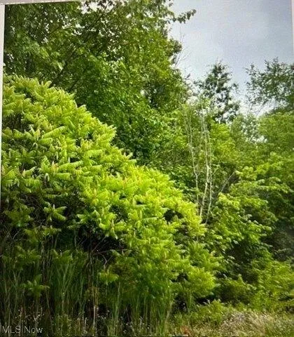 Plot For Sale In Boardman, Ohio