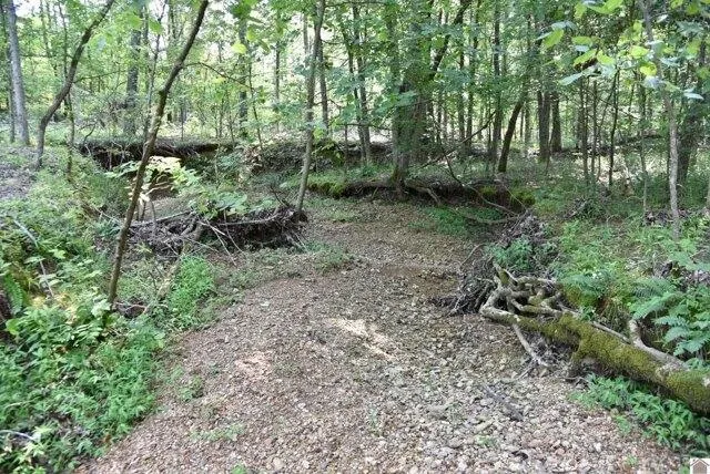 Plot For Sale In Cadiz, Kentucky