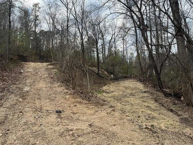 Plot For Sale In Ringgold, Georgia
