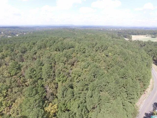 Plot For Sale In Warrior, Alabama