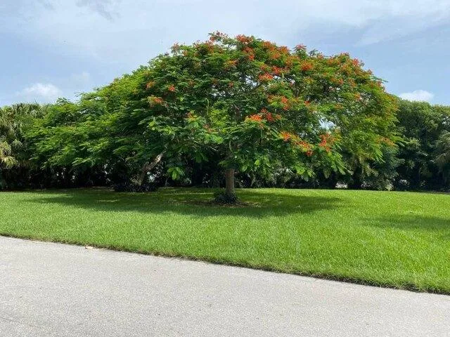 Plot For Sale In Chokoloskee, Florida