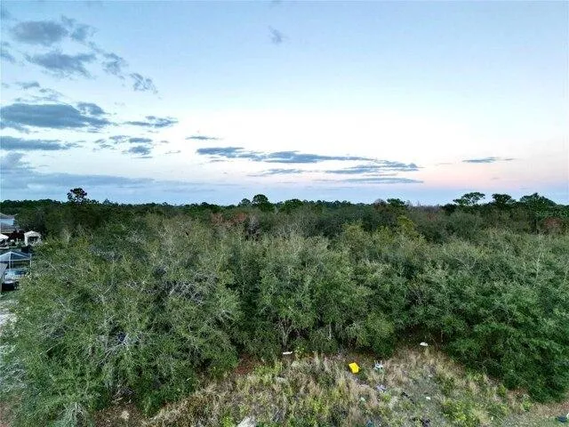 Plot For Sale In Poinciana, Florida