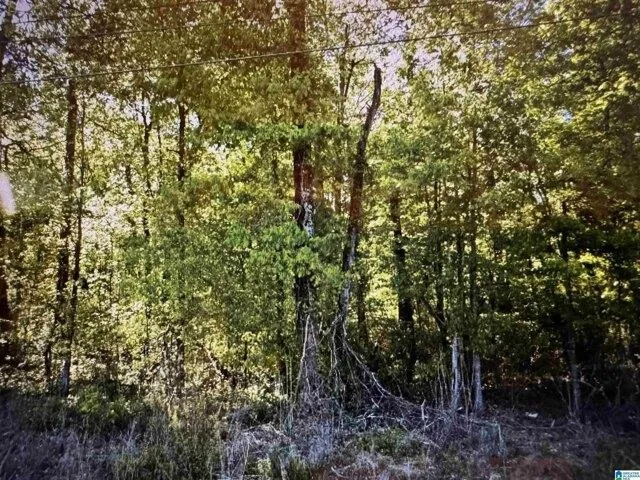 Plot For Sale In Birmingham, Alabama