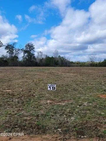 Plot For Sale In Bonifay, Florida