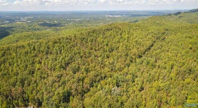 Plot For Sale In Jacksonville, Alabama