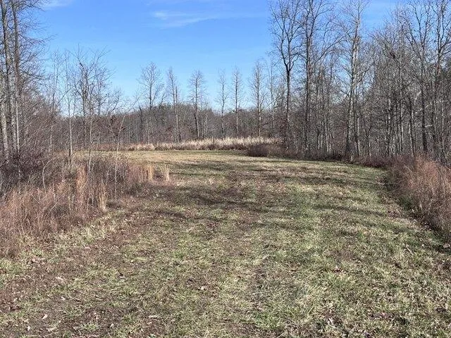 Plot For Sale In Booneville, Kentucky