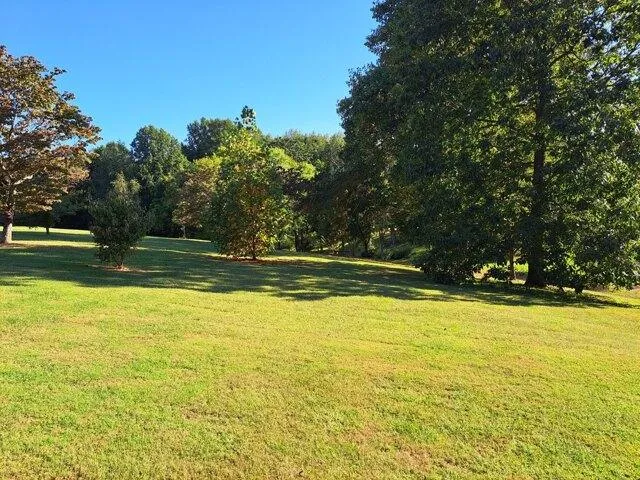 Plot For Sale In Lafayette, Tennessee