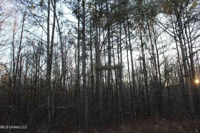 Plot For Sale In Michigan City, Mississippi