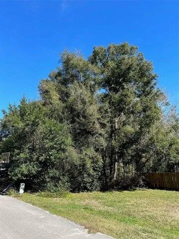 Plot For Sale In High Springs, Florida