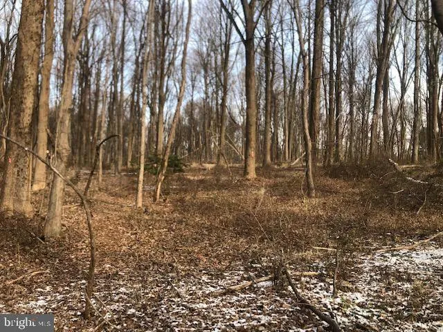 15821 RIVER RD, DARNESTOWN, MD 20874 Land For Sale  MLS# MDMC2034810