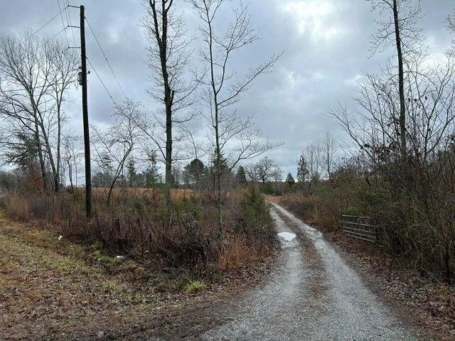 Plot For Sale In Blacksburg, South Carolina