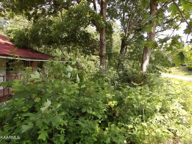 Plot For Sale In Celina, Tennessee