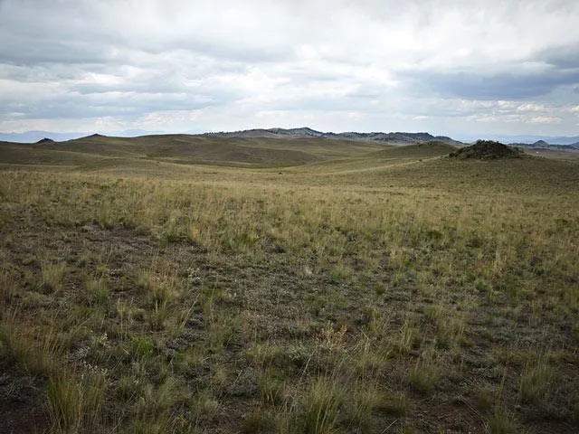Colorado Land For Sale 4.5 Acres, Sportsman