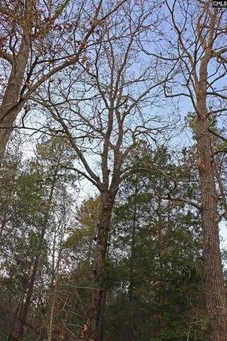 Plot For Sale In Salley, South Carolina