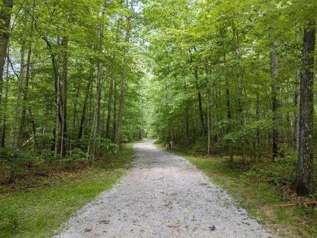 Plot For Sale In Coalmont, Tennessee