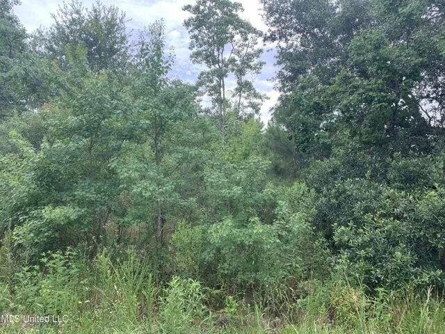 Plot For Sale In Bay Saint Louis, Mississippi
