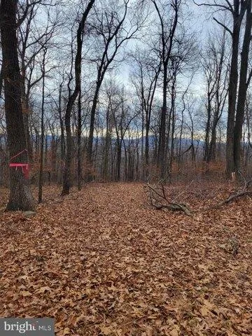 Plot For Sale In Augusta, West Virginia