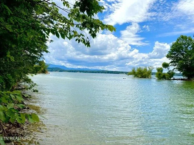 Plot For Sale In Baneberry, Tennessee
