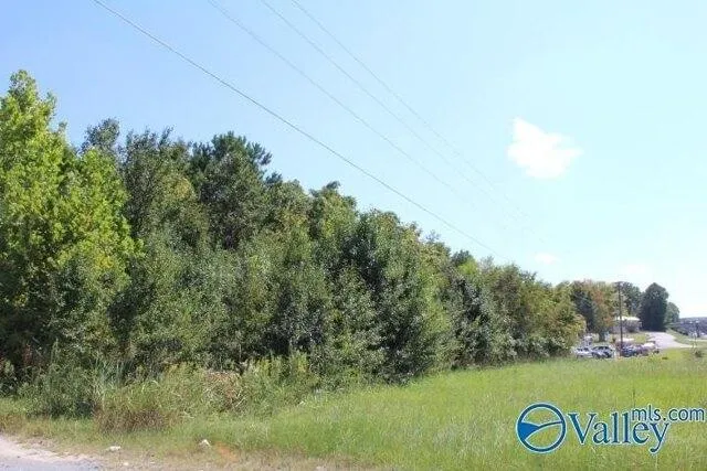 Plot For Sale In Arab, Alabama