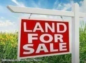 Plot For Sale In Lake Ariel, Pennsylvania