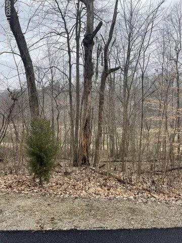 Plot For Sale In Leitchfield, Kentucky