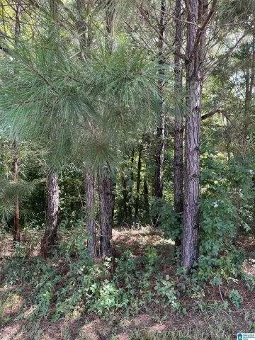 Plot For Sale In Chelsea, Alabama