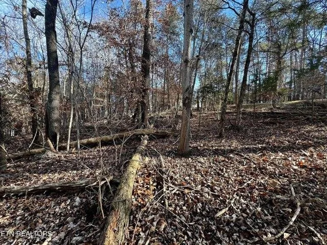 Plot For Sale In Mooresburg, Tennessee