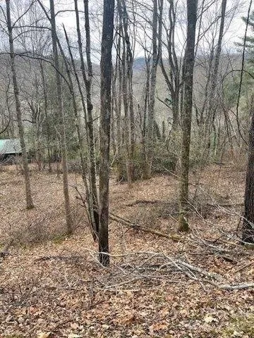 Plot For Sale In Waynesville, North Carolina