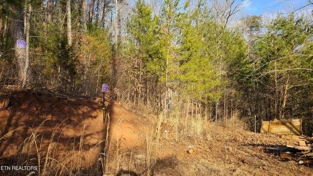 Plot For Sale In Vonore, Tennessee