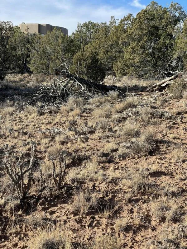 125 KIVA PL, Sandia Park, NM 87047 Land For Sale  MLS# 1006438