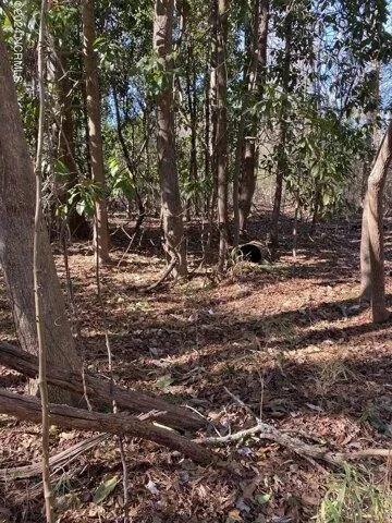 Plot For Sale In New Bern, North Carolina