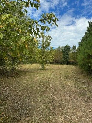 Plot For Sale In College Grove, Tennessee