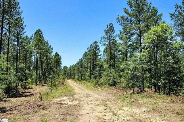 Plot For Sale In Pauline, South Carolina