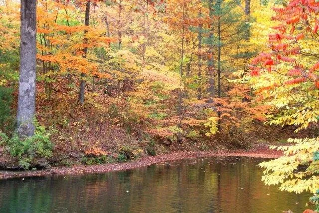 Plot For Sale In Nineveh, Indiana